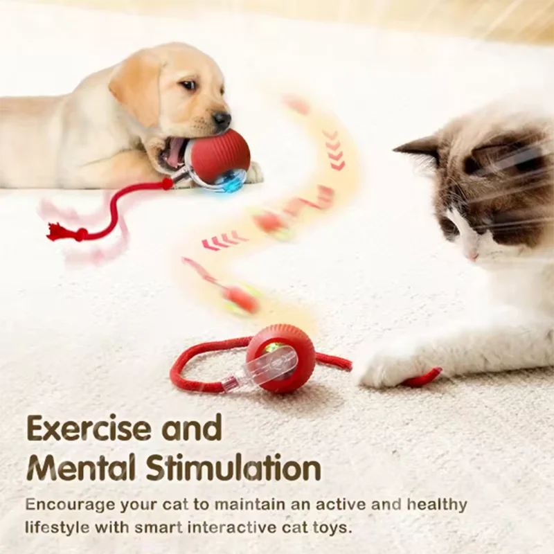 Cat Interactive ball Toy, Automatic Rolling Ball